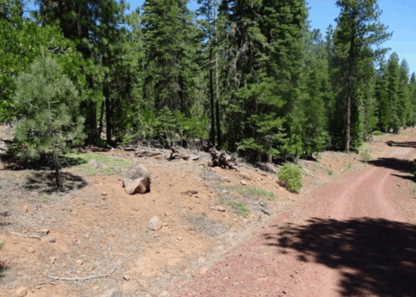 1.01 Acres in Modoc County, CA - Image 3