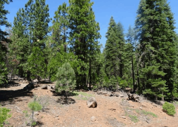 1.01 Acres in Modoc County, CA - Image 2