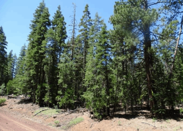 1.01 Acres in Modoc County, CA