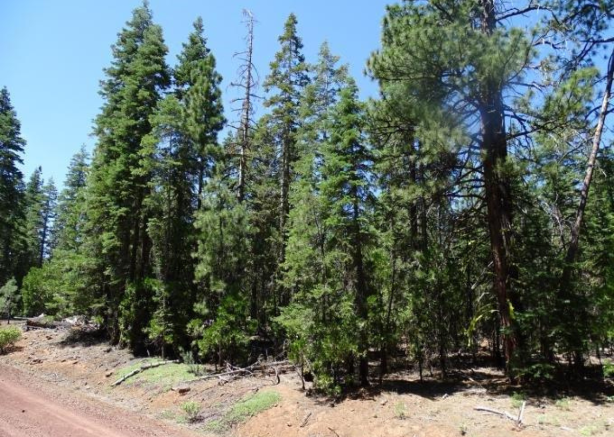 1.01 Acres in Modoc County, CA