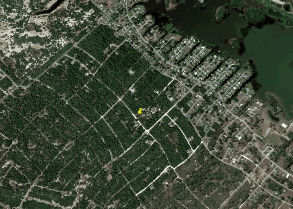 Aerial view of a forested area with a grid of roads and a river along the right edge; a yellow pin labeled WIL1036 marks a location.