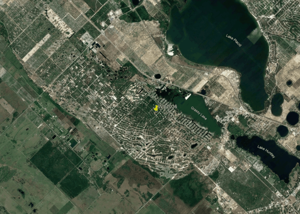 Aerial view of a rural area with Grassy Lake, Lake Placid to the north, and a yellow pin labeled WIL1036 near a developed shoreline.