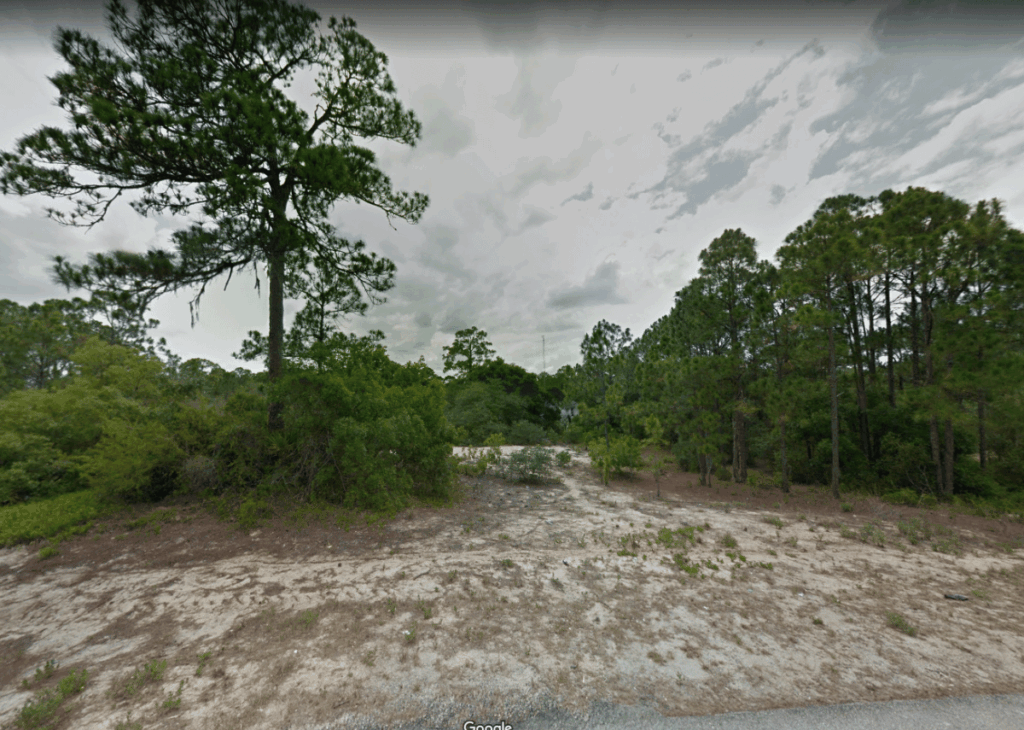 Sandy clearing in a pine forest with low shrubs and a tall tree on the left under a cloudy sky.