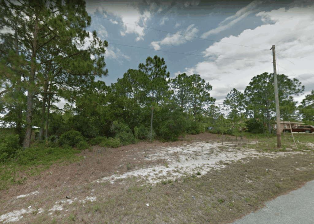 Vacant lot with sandy soil, low brush, and tall pine trees; a utility pole and a street edge are on the right.