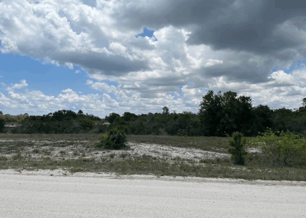 A rural, sandy clearing with low shrubs and scattered trees under a partly cloudy sky.