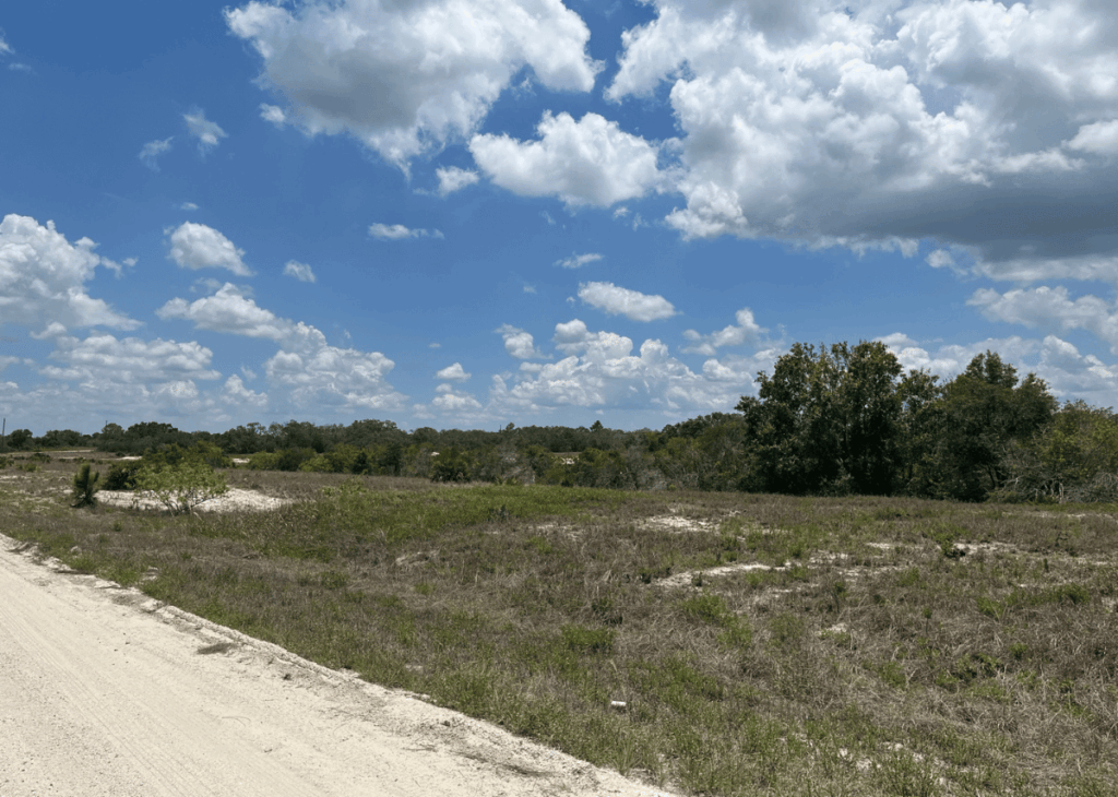 Dusty dirt road curves through a dry, open field with small bushes and a cluster of trees on the right under a blue sky filled with fluffy white clouds.