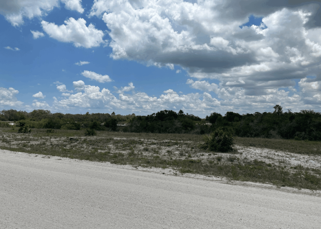 Gravel road shoulder with sparse scrub and distant trees under a blue, cloudy sky.