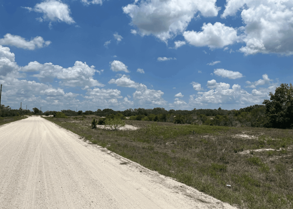 Dusty white gravel road stretches into a flat rural landscape under a bright blue sky with scattered white clouds.