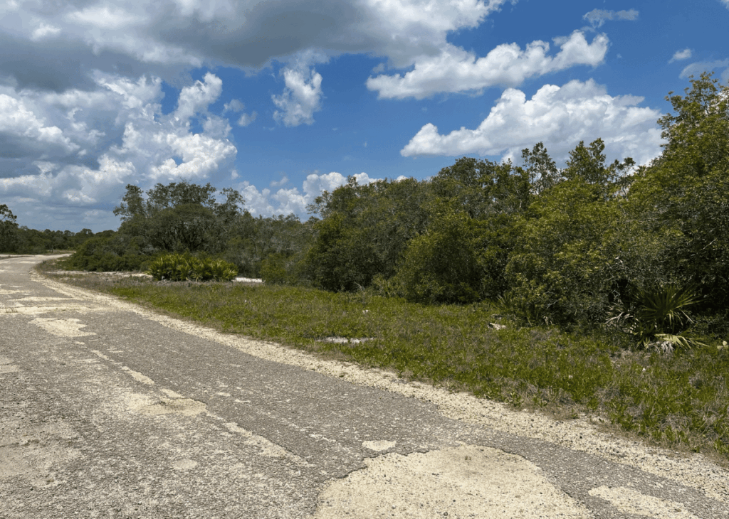 Paved rural road with cracks curves to the left, flanked by scrubby bushes and trees under a blue, cloudy sky.