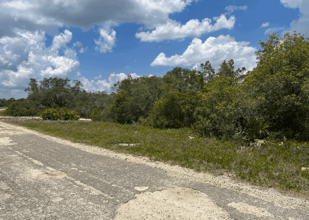 Paved, cracked road borders a grassy verge with dense shrubs and trees under a blue sky with white clouds