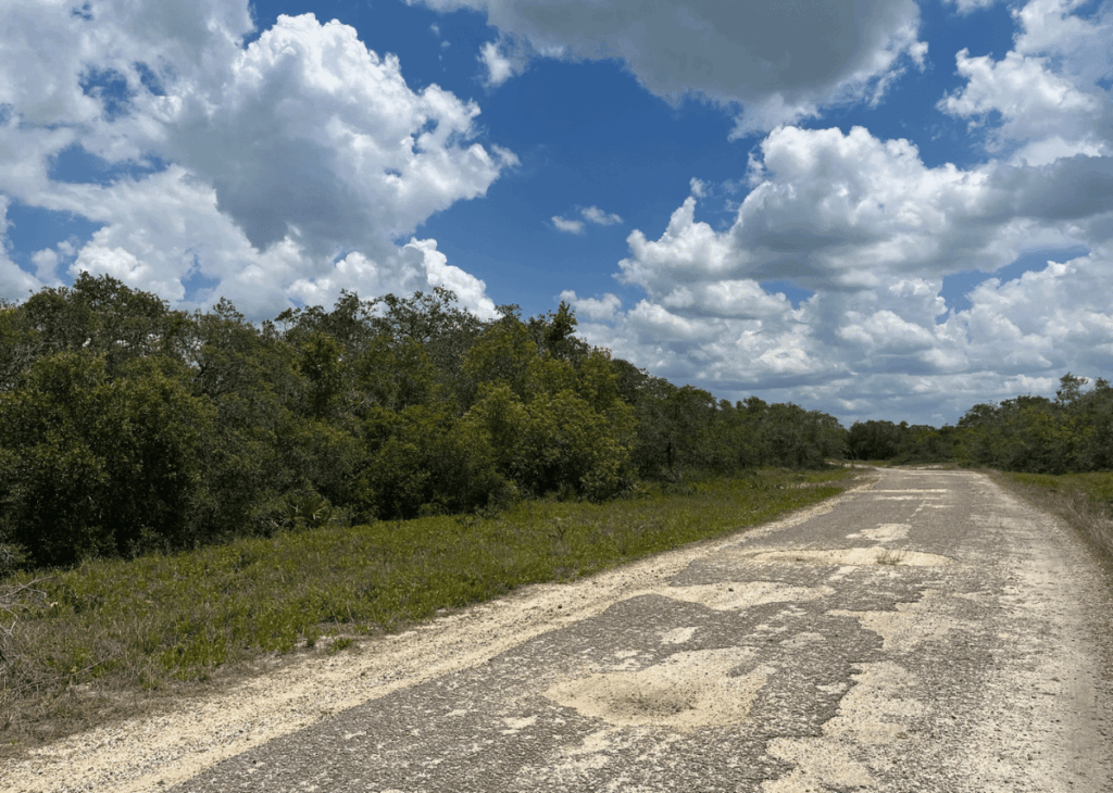 Gravel road winding through a green, bushy landscape under a partly cloudy blue sky.