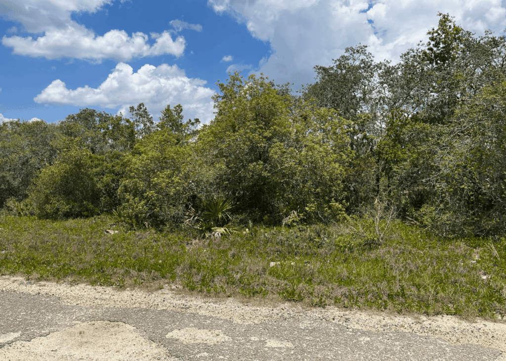 Rural roadside with low shrubs and dense green brush against a blue sky with white clouds