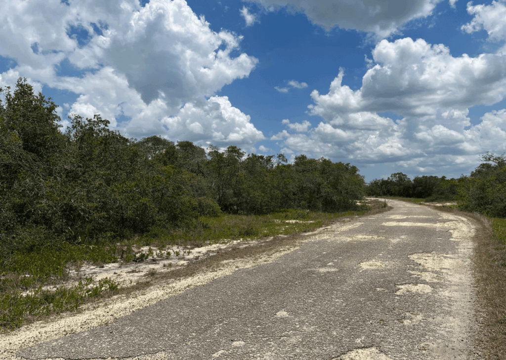 Winding gravel road through scrubby trees on a sunny day with a blue sky and fluffy white clouds on the horizon.