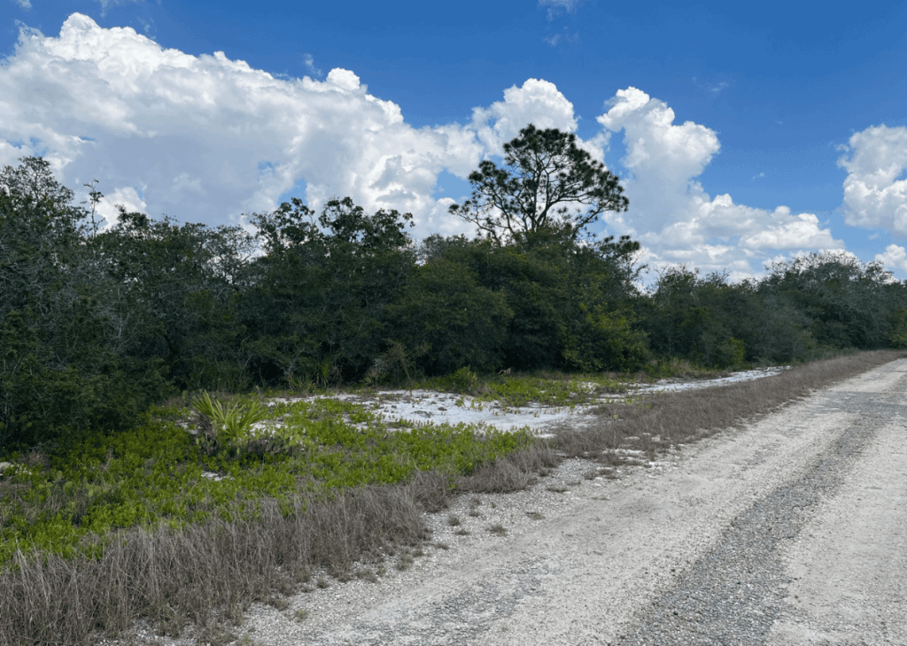 Gravel road runs along dense shrubs under a blue sky with white clouds.]