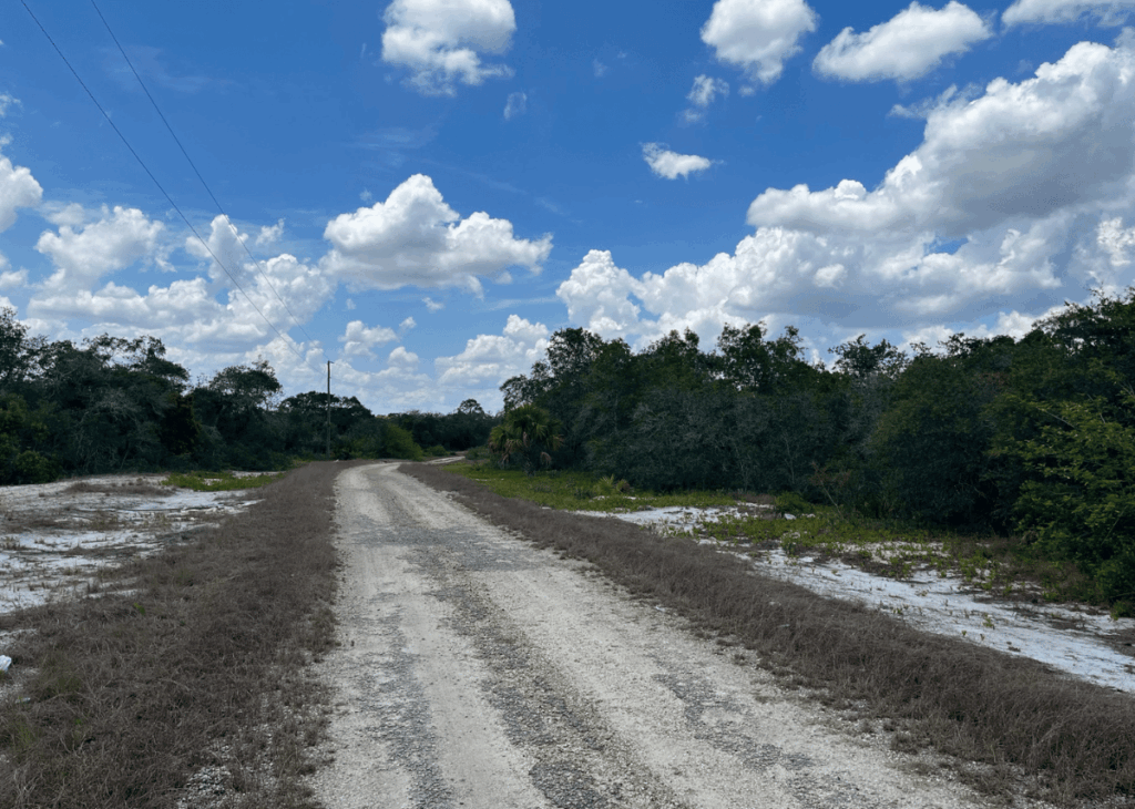 Gravel dirt road winds through a rural landscape with shrubs and trees on both sides under a bright blue sky and white clouds.