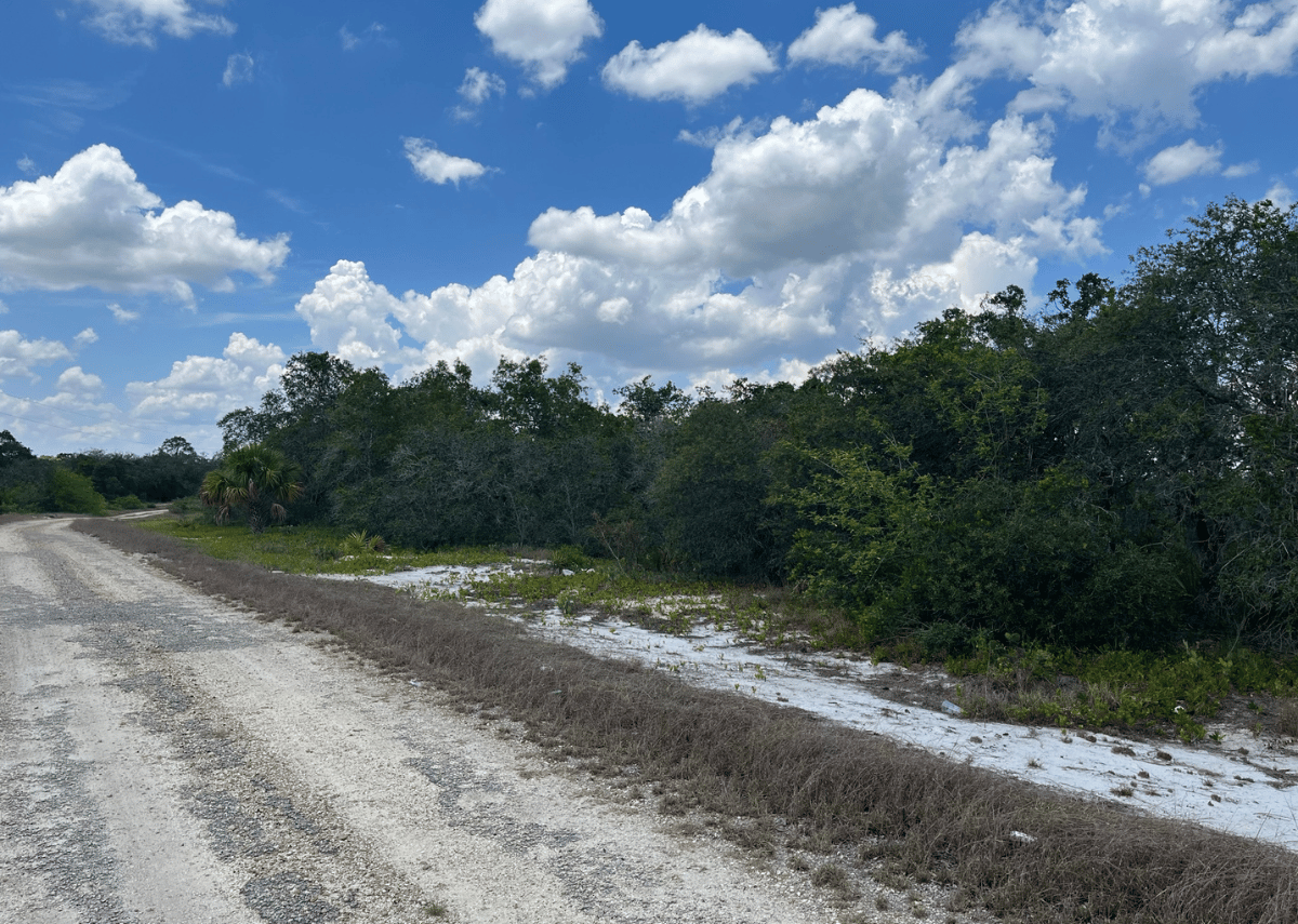 .25 acres in Highlands County, FL